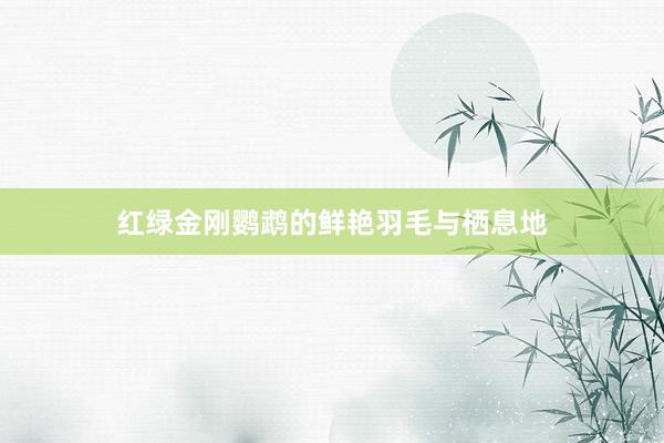 红绿金刚鹦鹉的鲜艳羽毛与栖息地